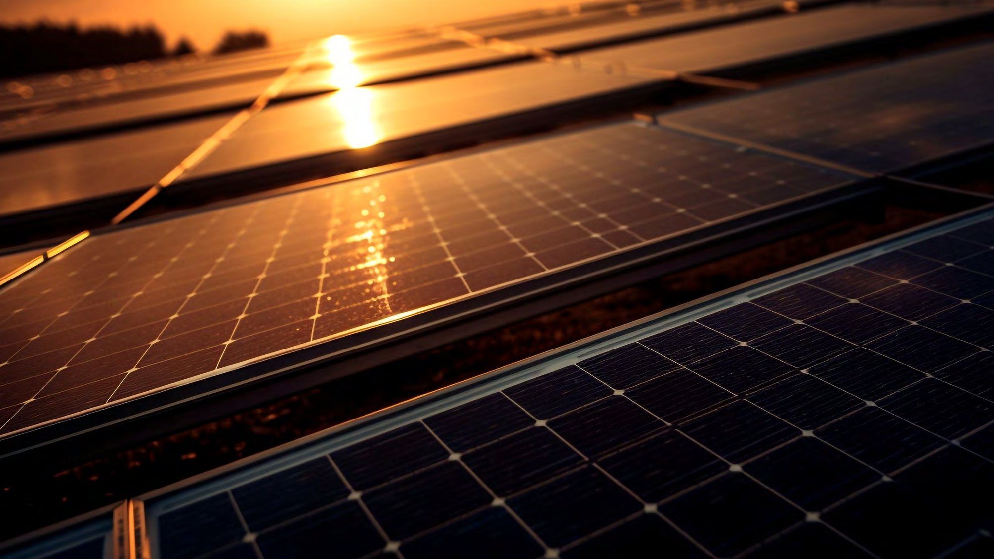 Gros plan sur des panneaux solaires au soleil couchant